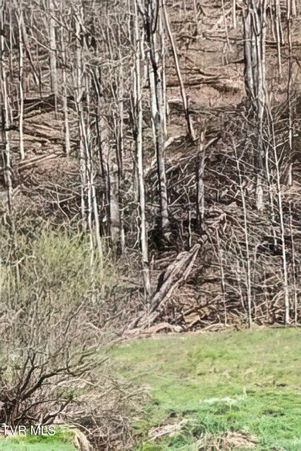 Photo #36: Tbd Miller Lane