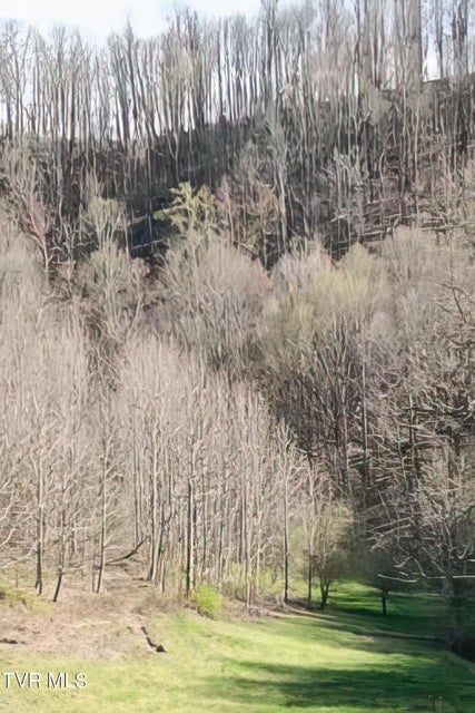 Photo #38: Tbd Miller Lane