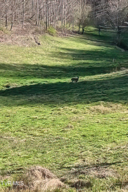 Photo #40: Tbd Miller Lane