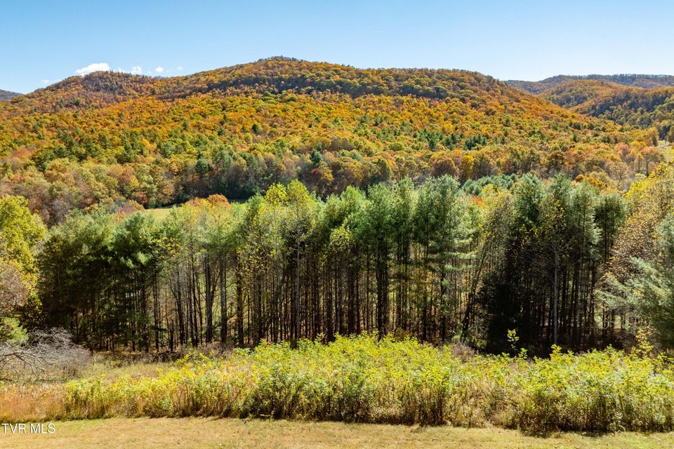 Photo #67: 928 Avery Branch Road