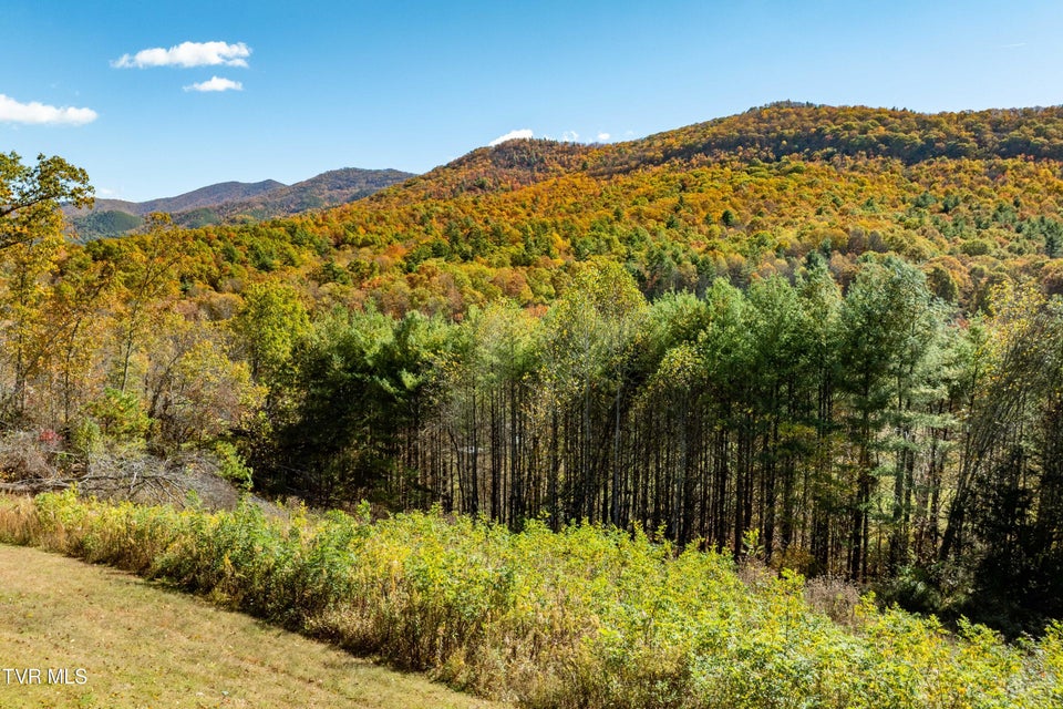 Photo #68: 928 Avery Branch Road