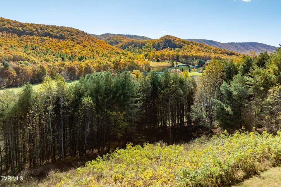 Photo #69: 928 Avery Branch Road