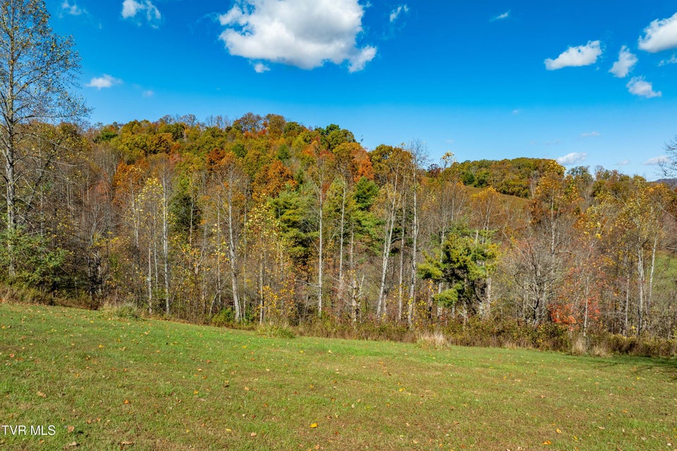 Photo #72: 928 Avery Branch Road