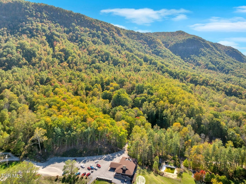 Photo #58: 2713 Country Club Road