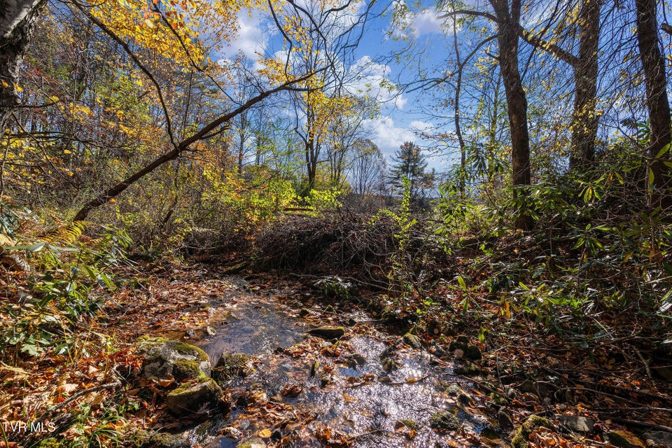 Photo #36: 1802 Winchester Road