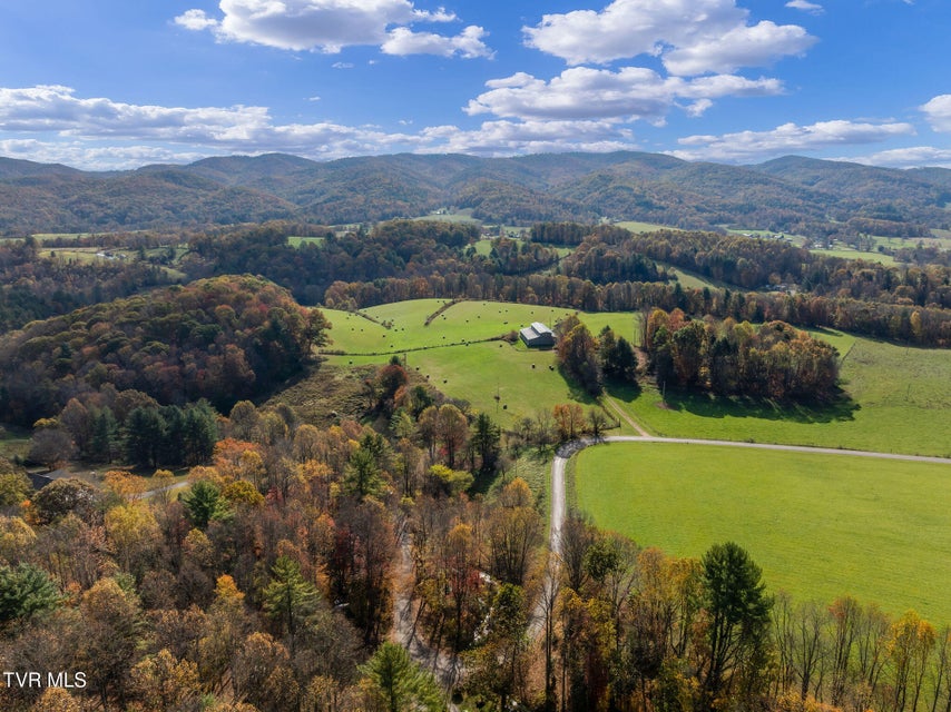 Photo #37: 1802 Winchester Road