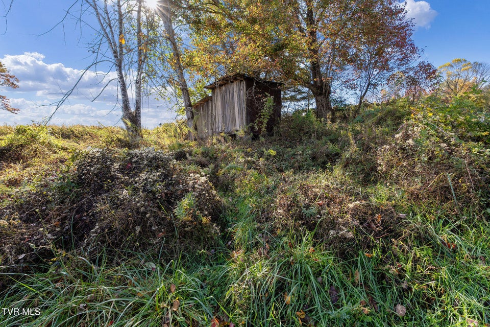 Photo #34: 1802 Winchester Road