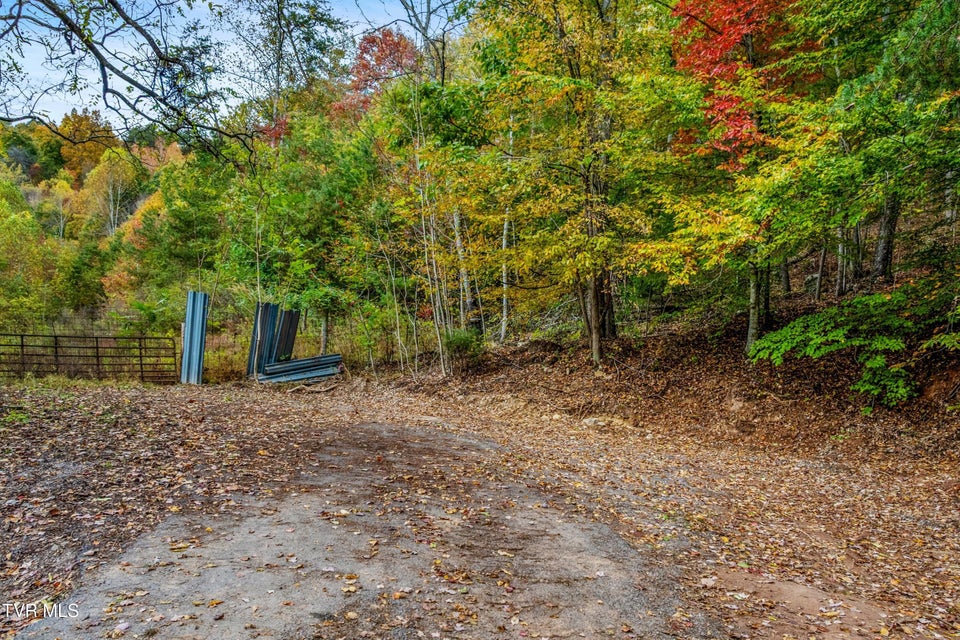 Photo #3: 0 Clouds Creek Road