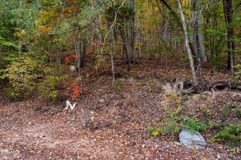 Photo #4: 0 Clouds Creek Road