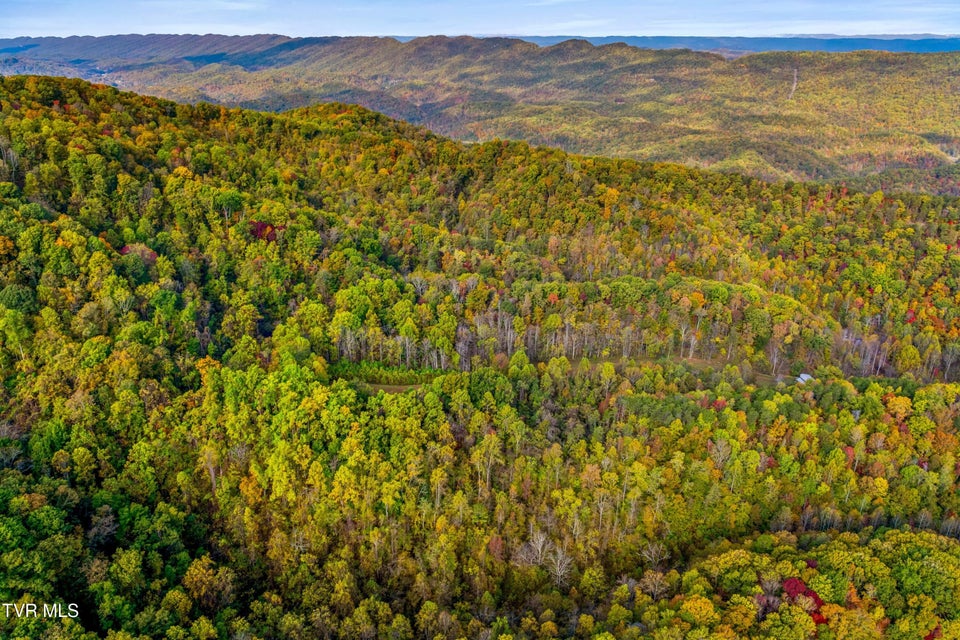 Photo #9: 0 Clouds Creek Road