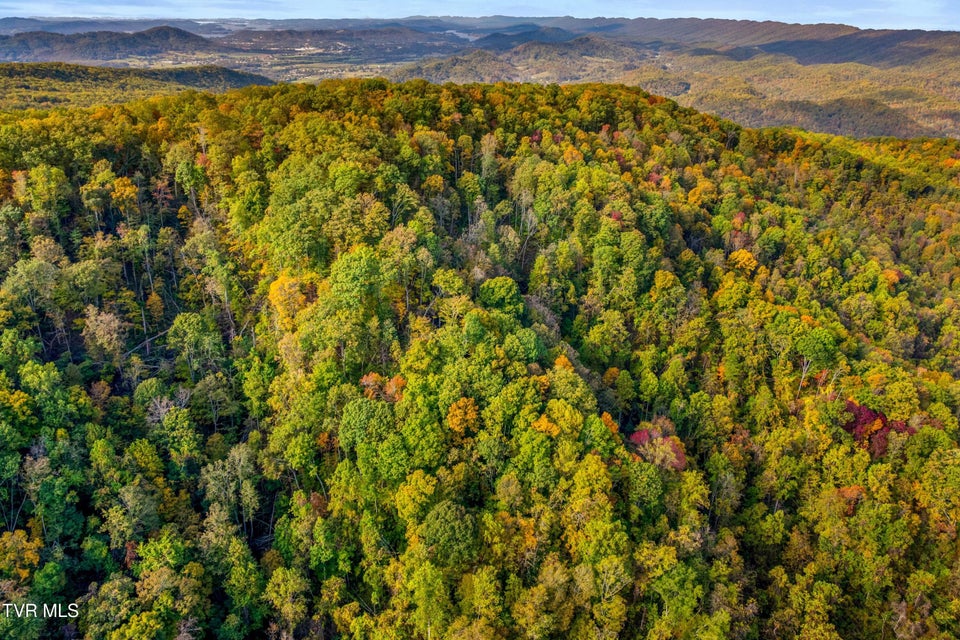 Photo #10: 0 Clouds Creek Road