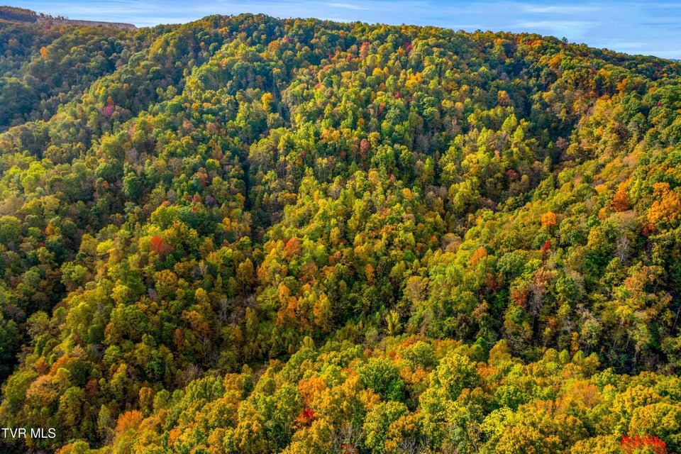 Photo #11: 0 Clouds Creek Road