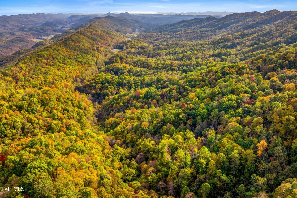 Photo #12: 0 Clouds Creek Road