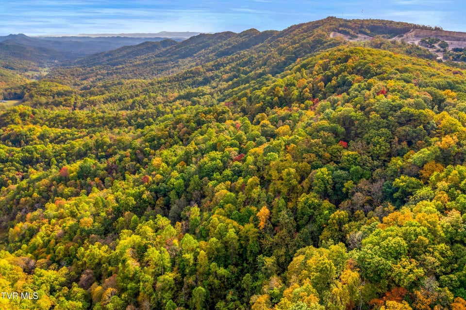 Photo #13: 0 Clouds Creek Road