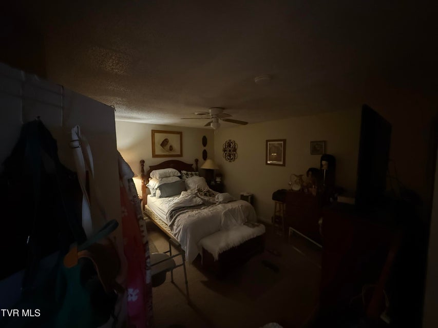 Photo #5: 417 Carolina Avenue