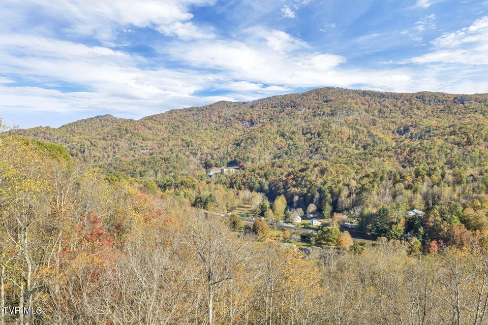 Photo #4: Tbd Hogum Hollow Road