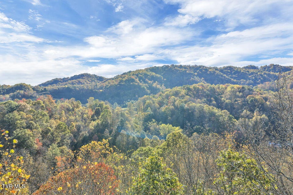 Photo #5: Tbd Hogum Hollow Road