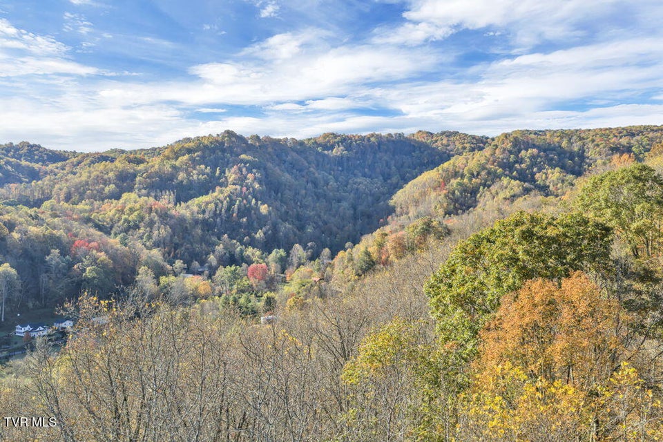 Photo #9: Tbd Hogum Hollow Road