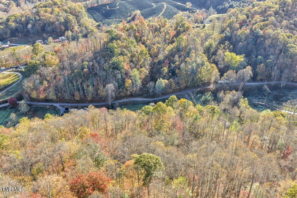 Photo #10: Tbd Hogum Hollow Road