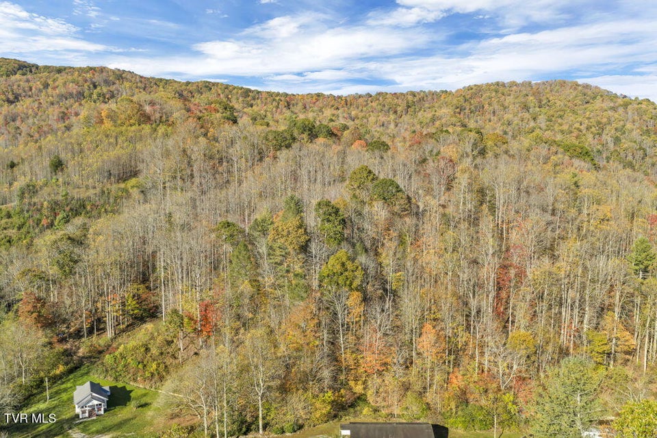 Photo #11: Tbd Hogum Hollow Road