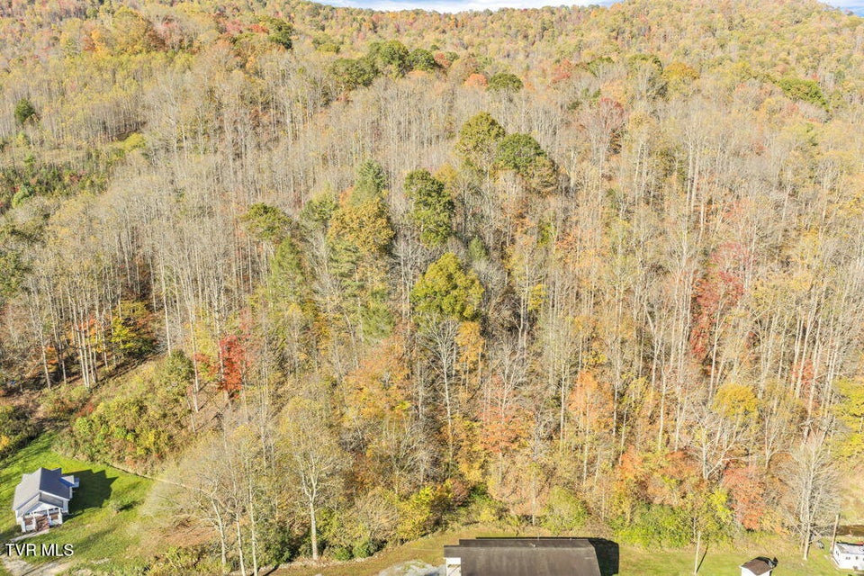 Photo #12: Tbd Hogum Hollow Road