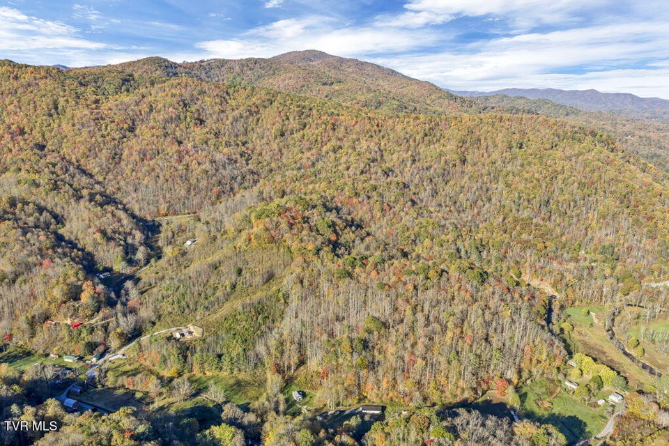 Photo #13: Tbd Hogum Hollow Road