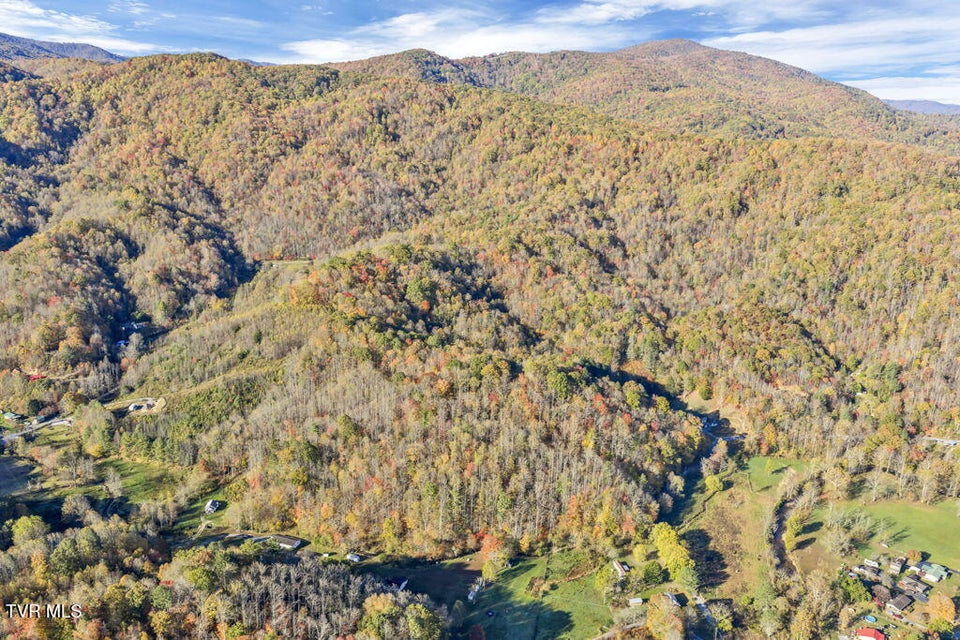 Photo #14: Tbd Hogum Hollow Road