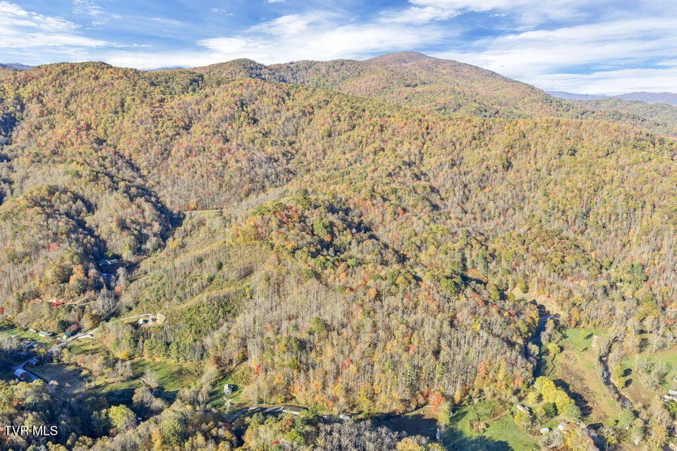 Photo #15: Tbd Hogum Hollow Road