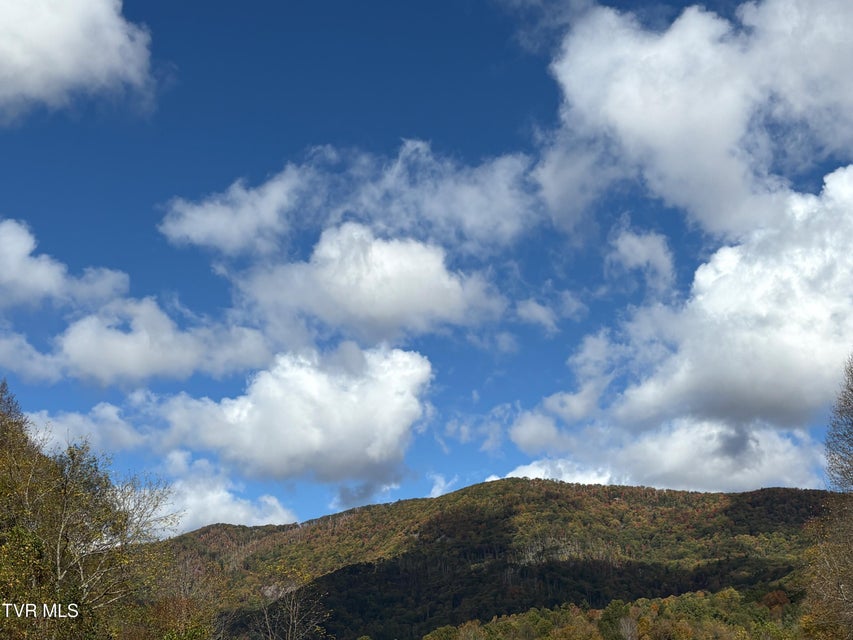 Photo #16: Tbd Hogum Hollow Road