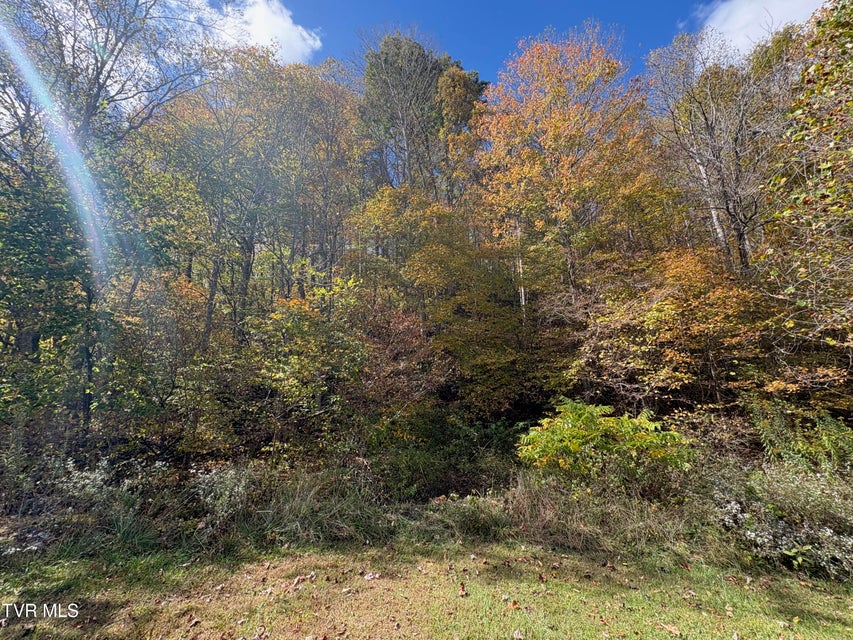 Photo #17: Tbd Hogum Hollow Road