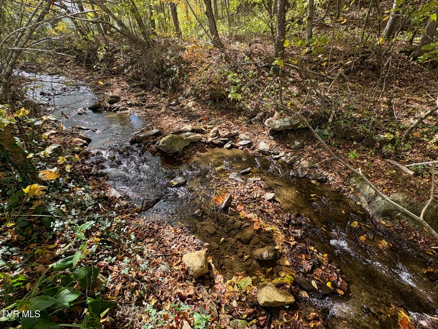 Photo #18: Tbd Hogum Hollow Road