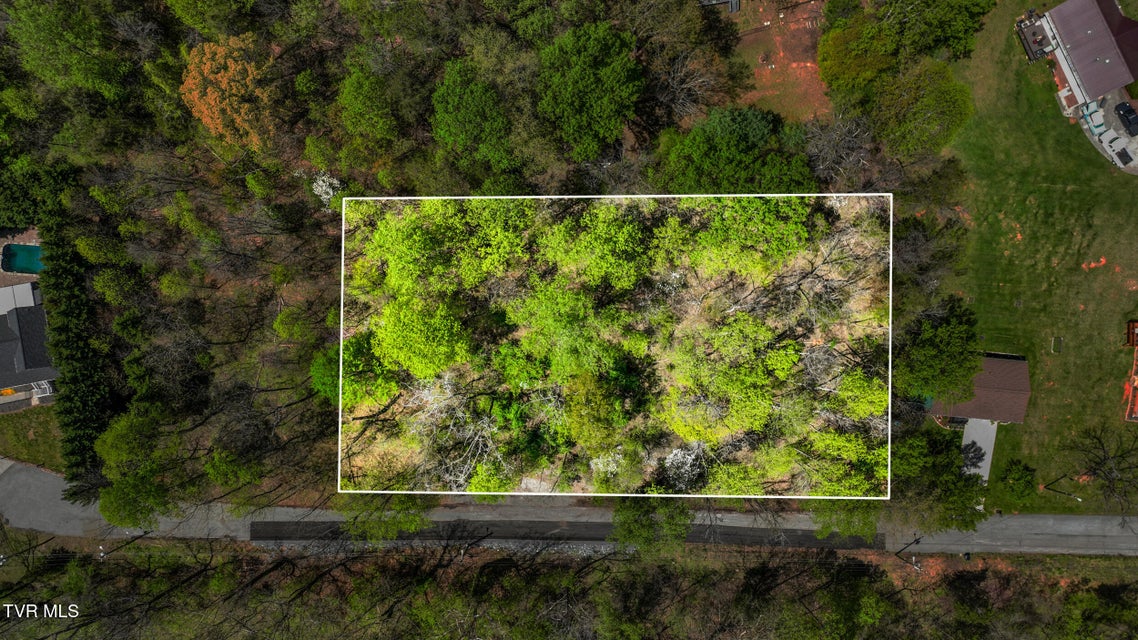 Photo #11: 4008 Cooks Inlet Road