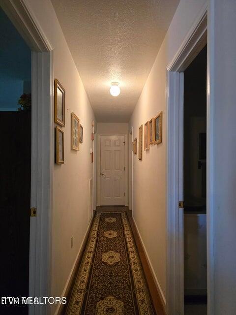 Photo #11: 156 El Sara Drive