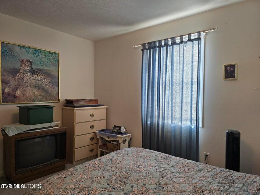 Photo #13: 156 El Sara Drive