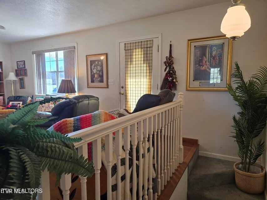 Photo #21: 156 El Sara Drive