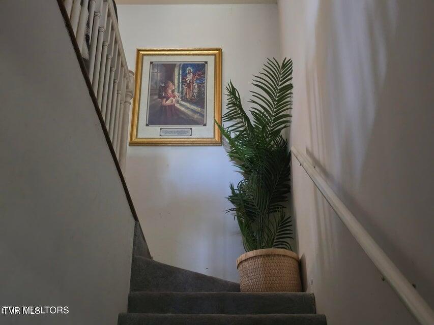 Photo #22: 156 El Sara Drive