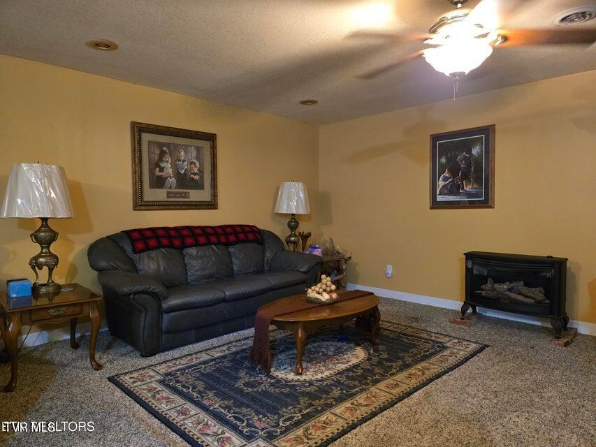 Photo #23: 156 El Sara Drive