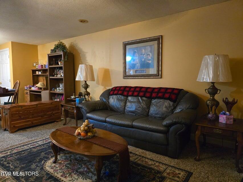 Photo #24: 156 El Sara Drive