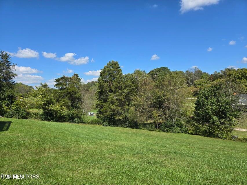 Photo #41: 156 El Sara Drive