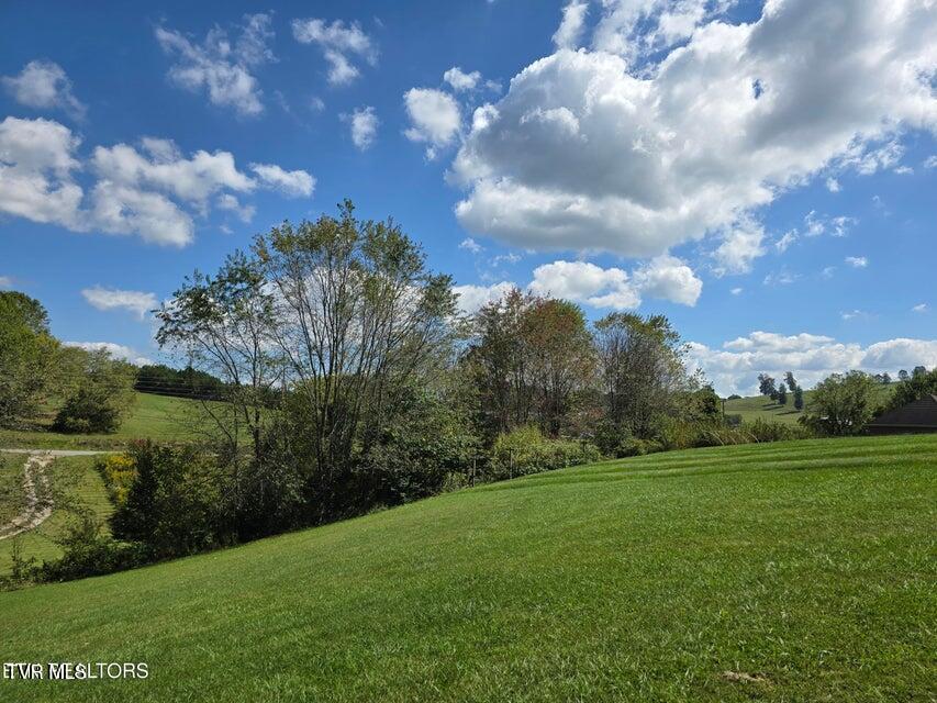 Photo #42: 156 El Sara Drive