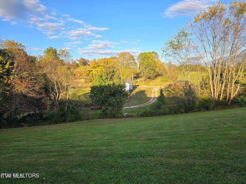 Photo #45: 156 El Sara Drive