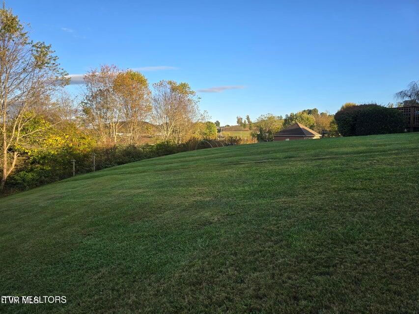 Photo #46: 156 El Sara Drive