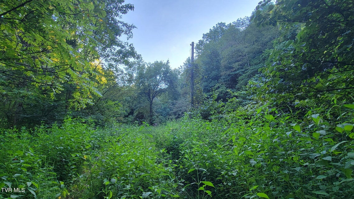 Photo #6: 0 Clouds Creek Road