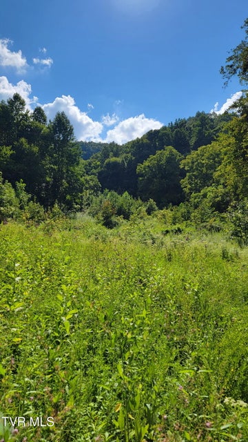 Photo #5: 0 Clouds Creek Road