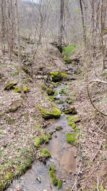 Photo #8: 0 Clouds Creek Road