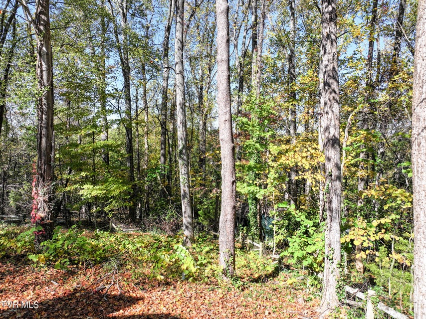 Photo #40: 1814 Brentwood Drive