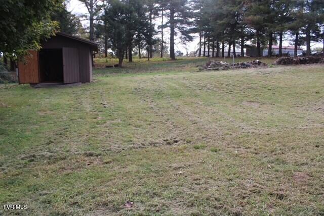 Photo #23: 508 Carolina Street