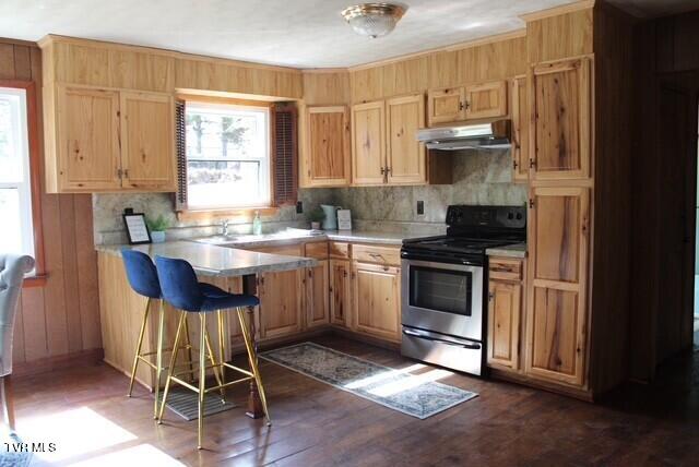 Photo #11: 508 Carolina Street