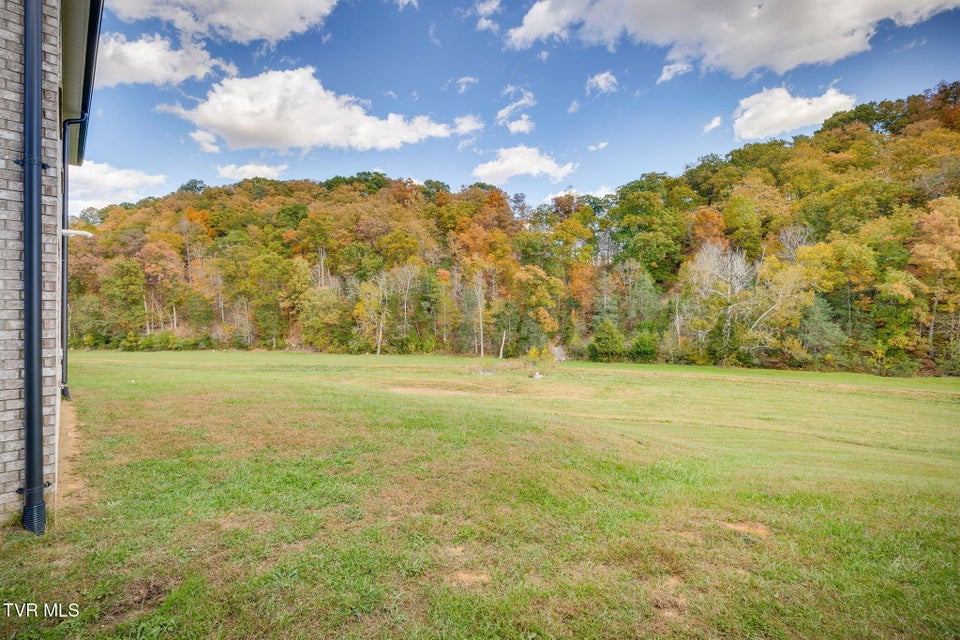 Photo #30: 217 Quiet Stroll Lane