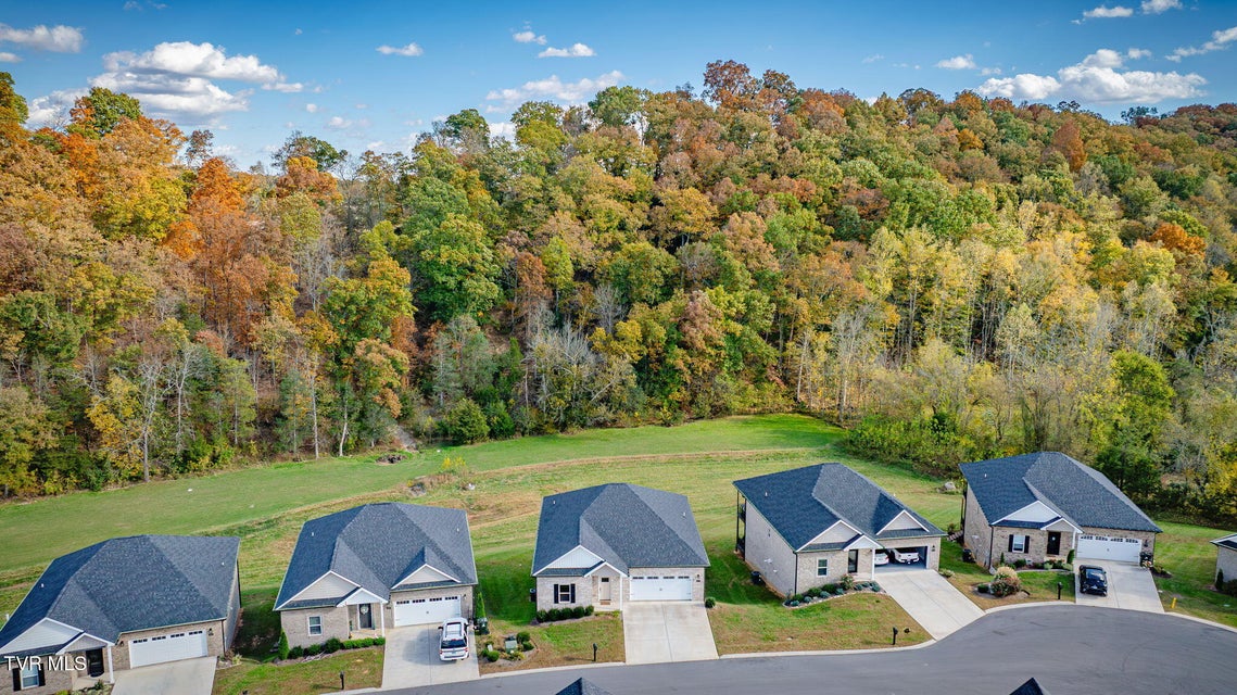 Photo #33: 217 Quiet Stroll Lane